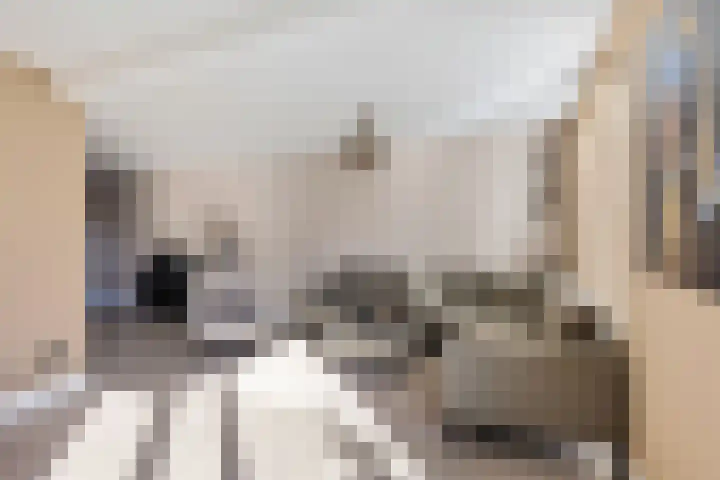 De Smidte 4 Augustinusga thumbnail 7