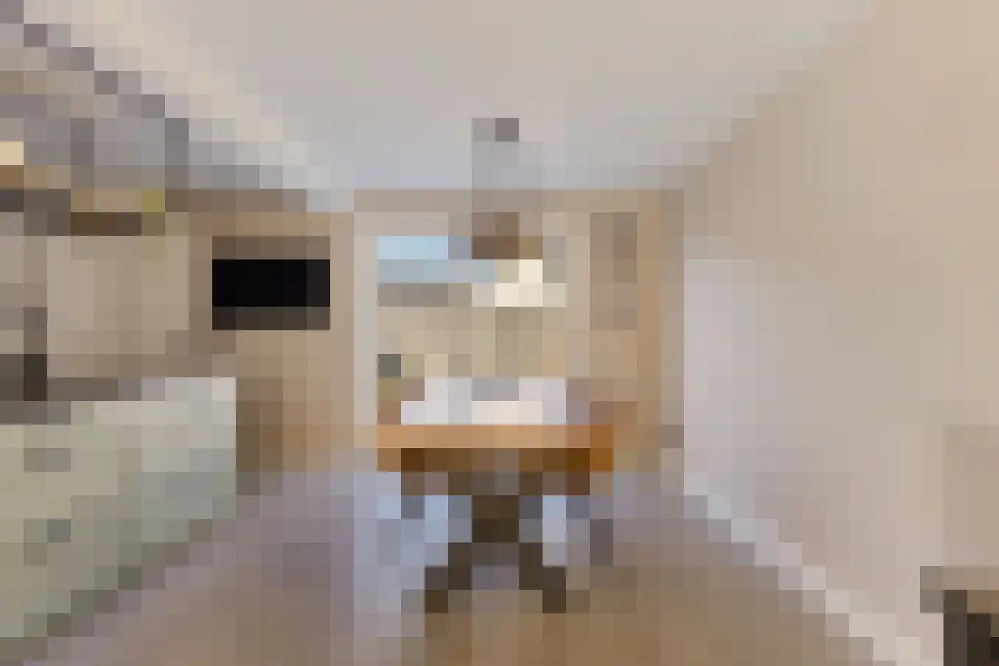 De Smidte 4 Augustinusga thumbnail 9