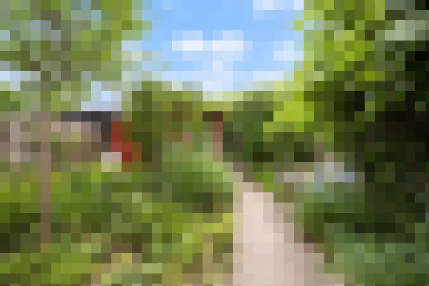 De Snep 6 Zeist thumbnail 18