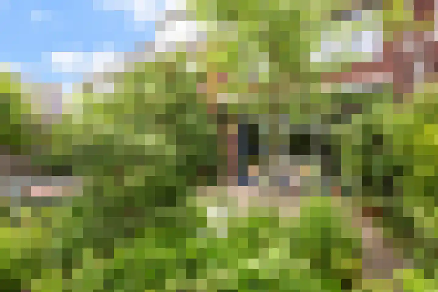 De Snep 6 Zeist thumbnail 21