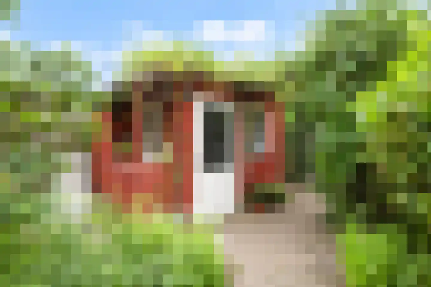 De Snep 6 Zeist thumbnail 22
