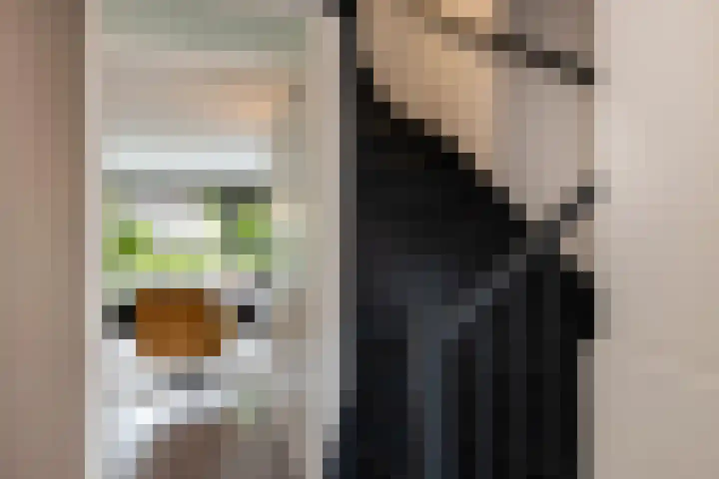 De Snieder 118 Groenlo thumbnail 11