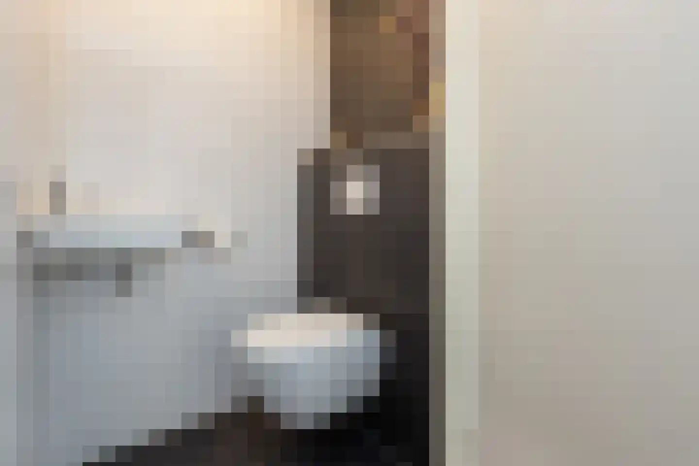 De Snieder 118 Groenlo thumbnail 13