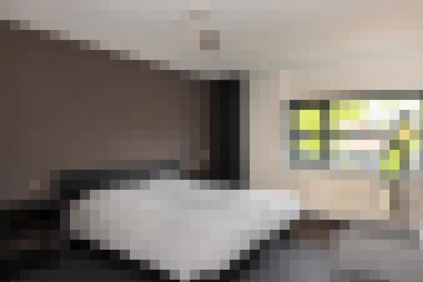 De Snieder 118 Groenlo thumbnail 15