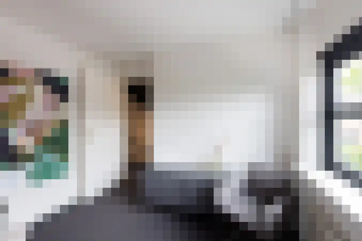 De Snieder 118 Groenlo thumbnail 20