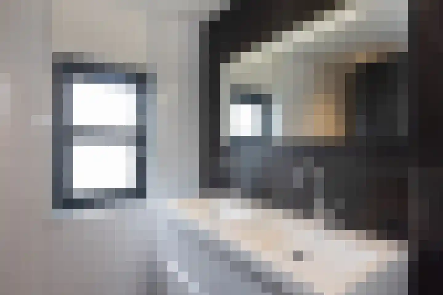 De Snieder 118 Groenlo thumbnail 24