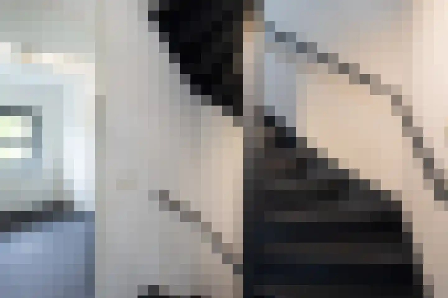 De Snieder 118 Groenlo thumbnail 27