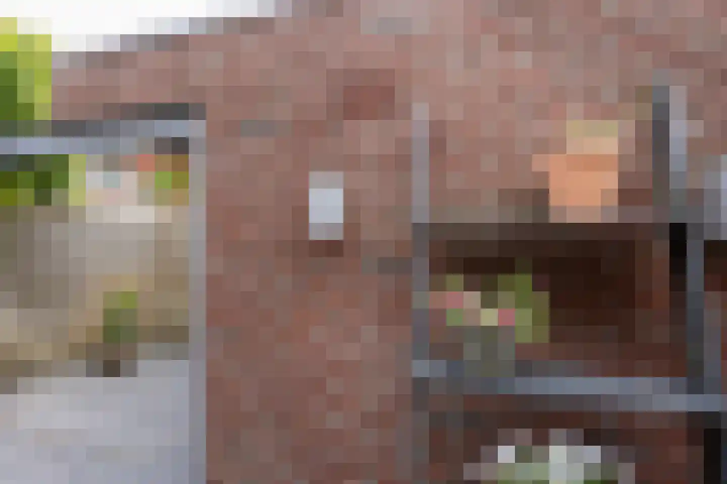 De Snieder 118 Groenlo thumbnail 39