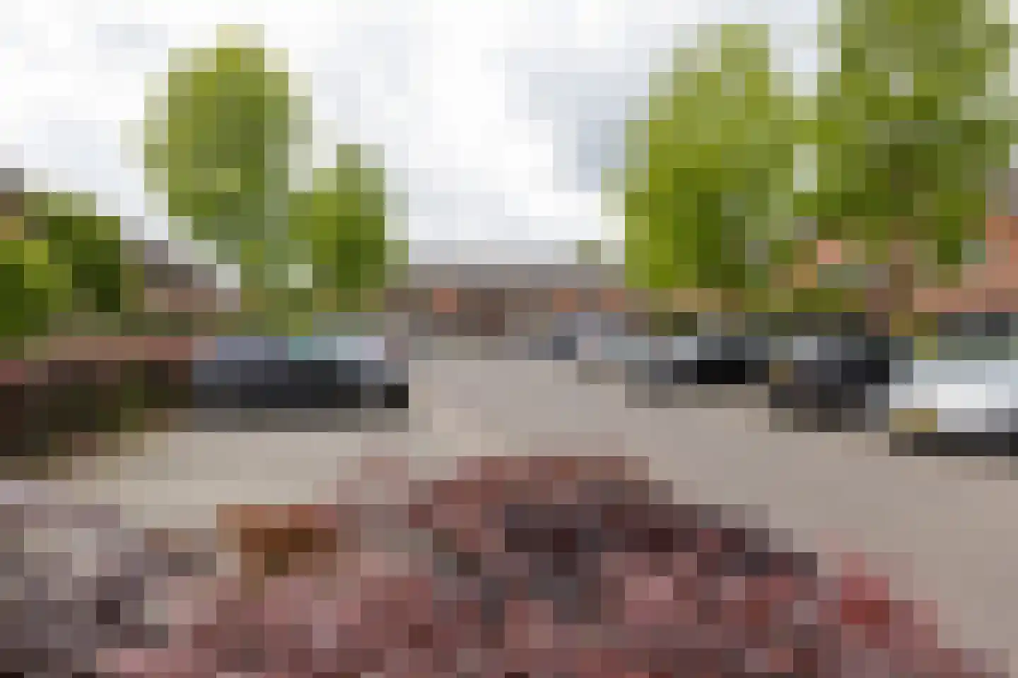 De Snieder 118 Groenlo thumbnail 42