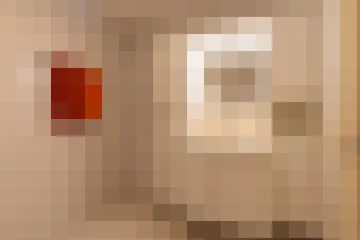 De Snieder 18 Groenlo thumbnail 21