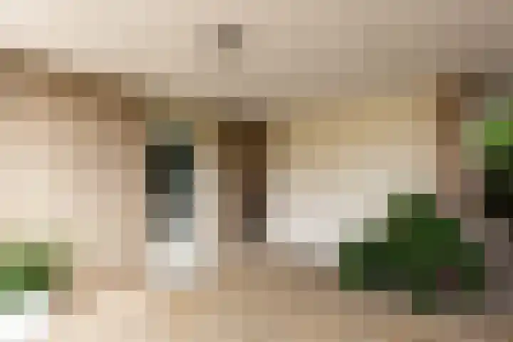 De Snieder 2 Groenlo thumbnail 10