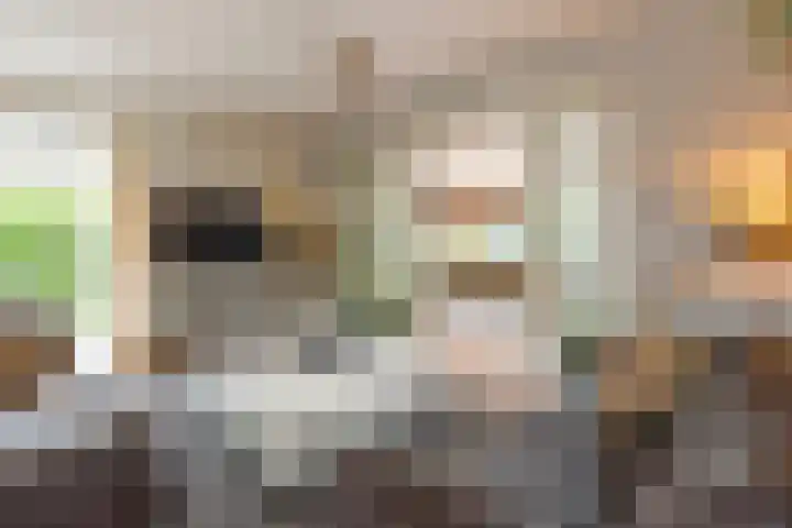 De Snieder 2 Groenlo thumbnail 11
