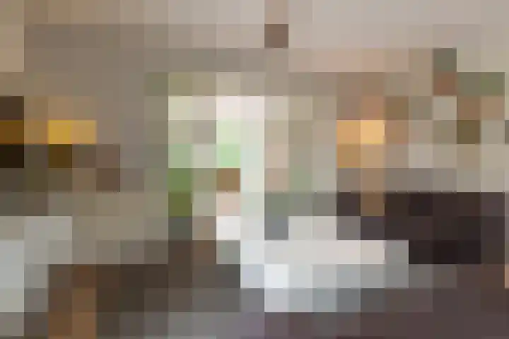 De Snieder 2 Groenlo thumbnail 14