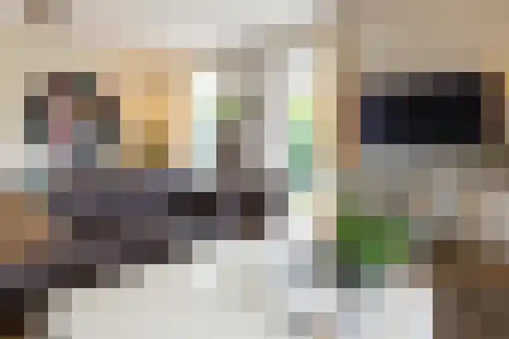 De Snieder 2 Groenlo thumbnail 15