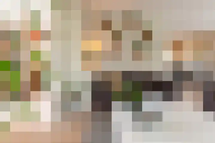 De Snieder 2 Groenlo thumbnail 16