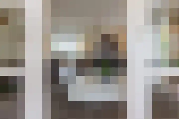 De Snieder 2 Groenlo thumbnail 17
