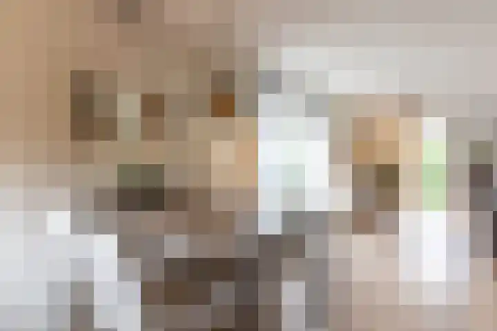 De Snieder 2 Groenlo thumbnail 26