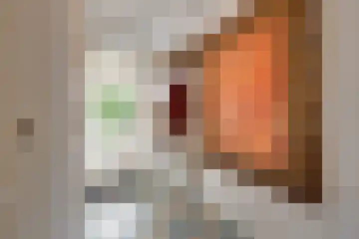 De Snieder 2 Groenlo thumbnail 27