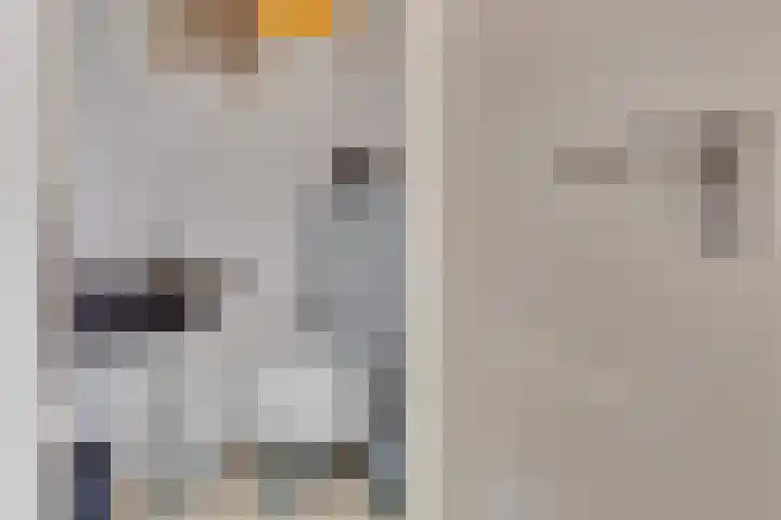De Snieder 2 Groenlo thumbnail 28