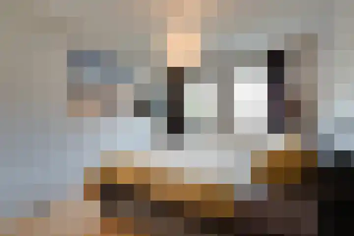 De Snieder 2 Groenlo thumbnail 33