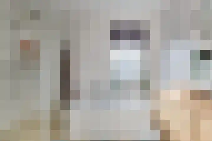De Snieder 2 Groenlo thumbnail 39