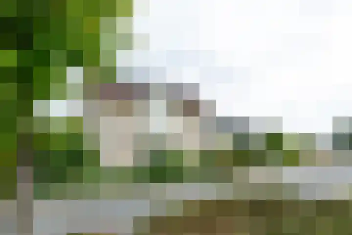 De Snieder 2 Groenlo thumbnail 4