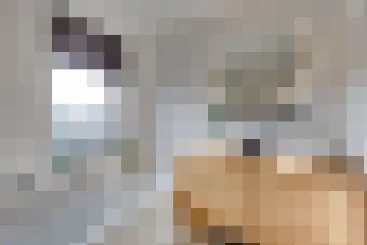 De Snieder 2 Groenlo thumbnail 40