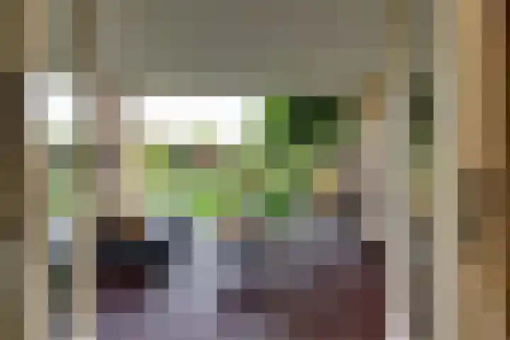 De Snieder 2 Groenlo thumbnail 51