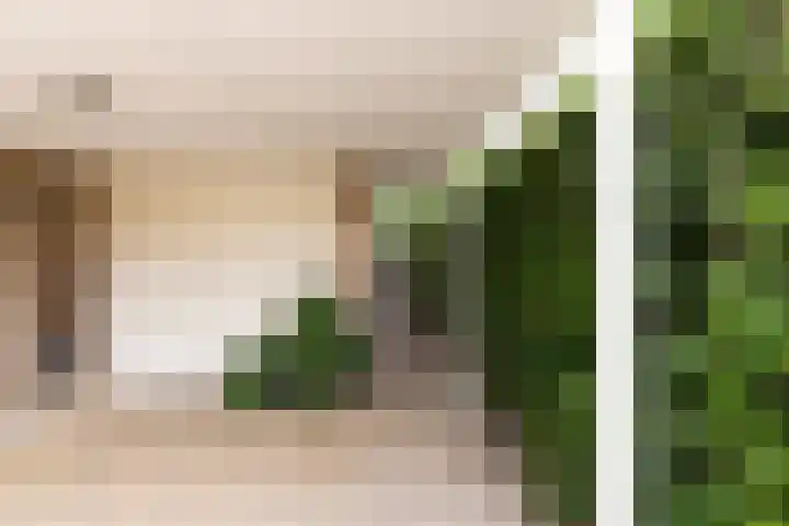 De Snieder 2 Groenlo thumbnail 54