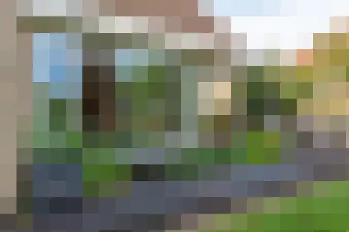 De Snieder 2 Groenlo thumbnail 56