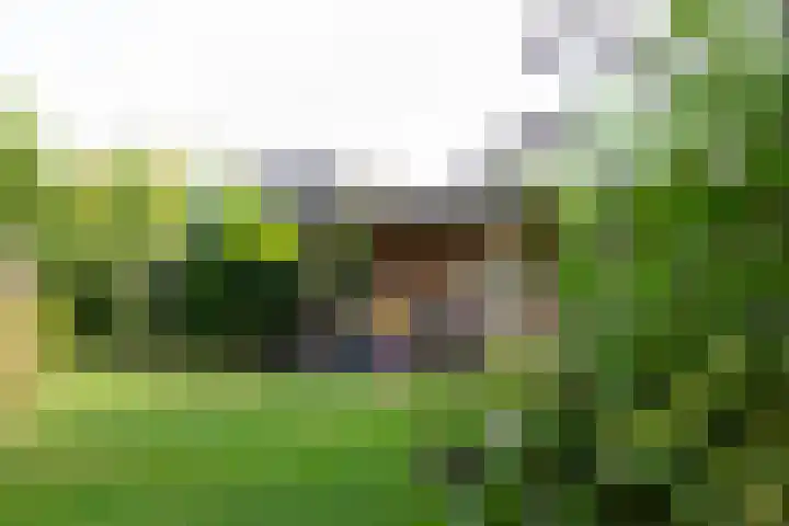 De Snieder 2 Groenlo thumbnail 61