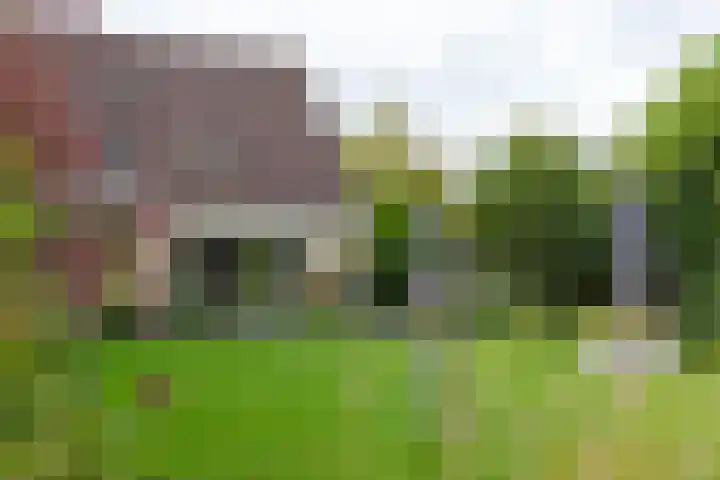 De Snieder 2 Groenlo thumbnail 64