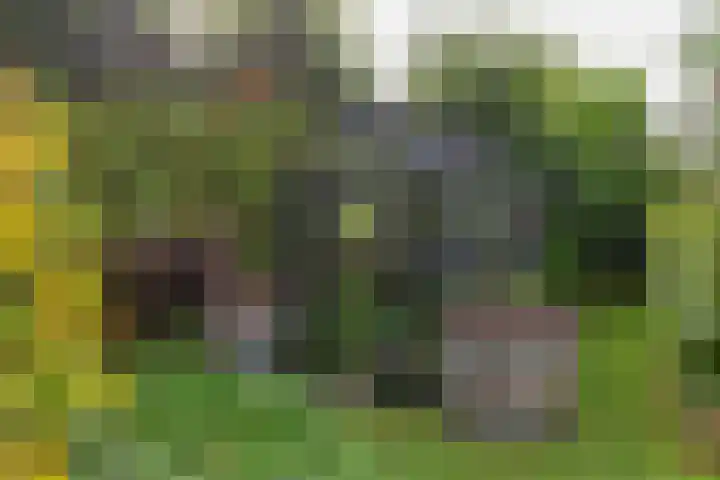 De Snieder 2 Groenlo thumbnail 65