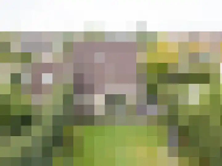 De Snieder 2 Groenlo thumbnail 66