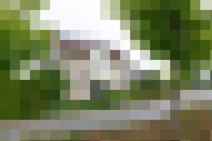De Snieder 2 Groenlo thumbnail 68