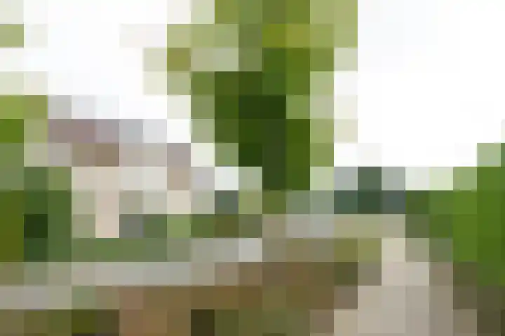 De Snieder 2 Groenlo thumbnail 71