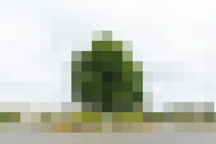 De Snieder 2 Groenlo thumbnail 72