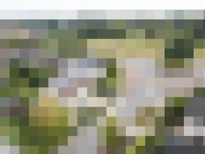 De Snieder 2 Groenlo thumbnail 73