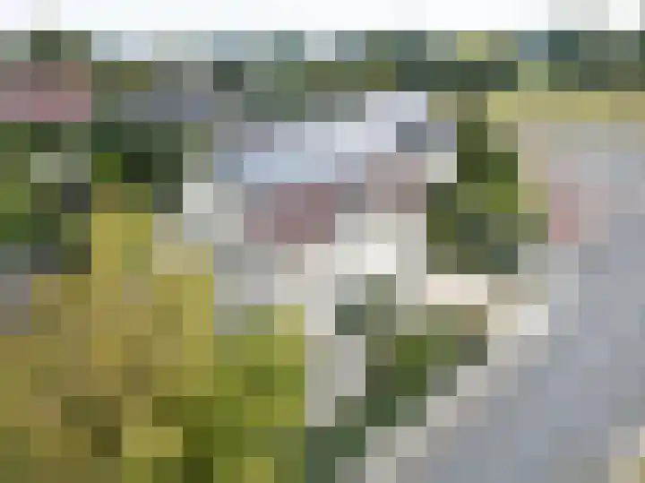 De Snieder 2 Groenlo thumbnail 80