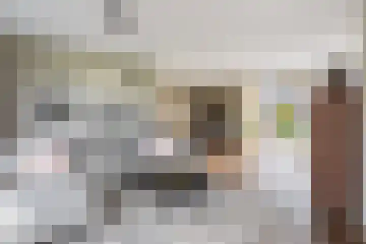 de Snieder 2 Saasveld thumbnail 9