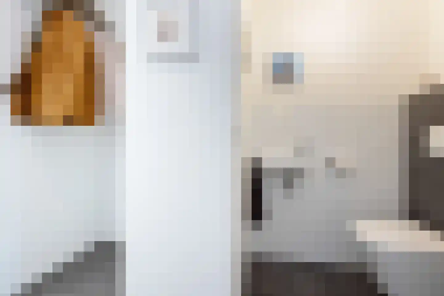 De Snieder 33 Groenlo thumbnail 14