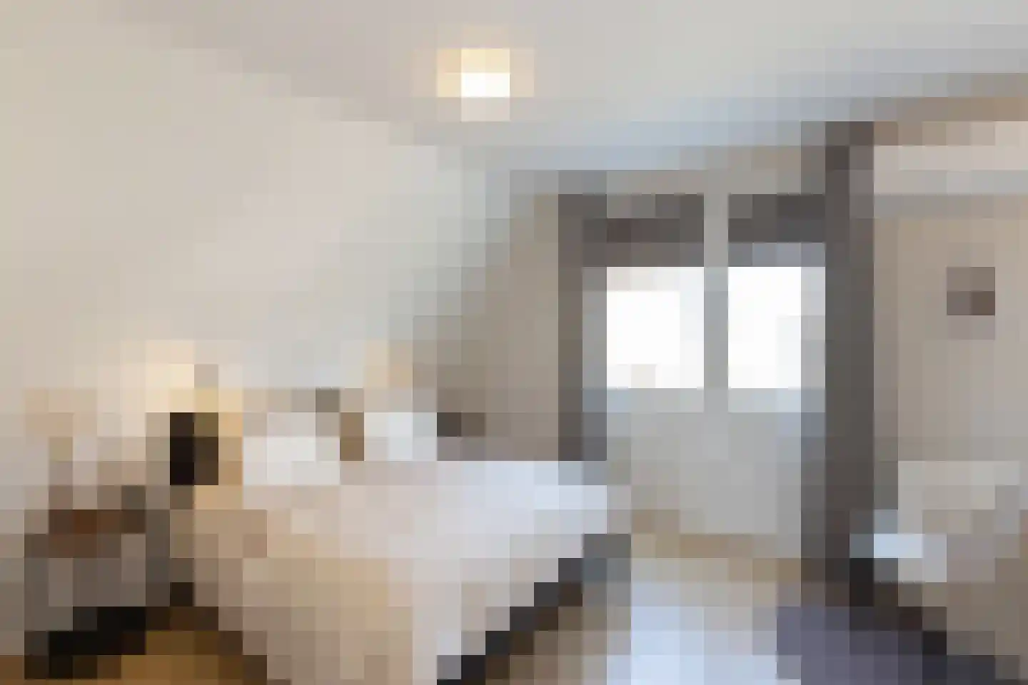 De Snieder 33 Groenlo thumbnail 16