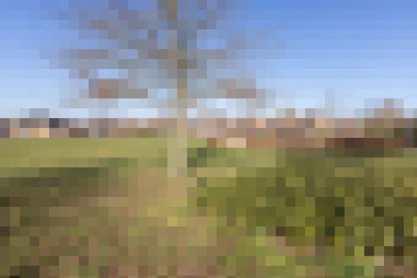 De Snieder 33 Groenlo thumbnail 38