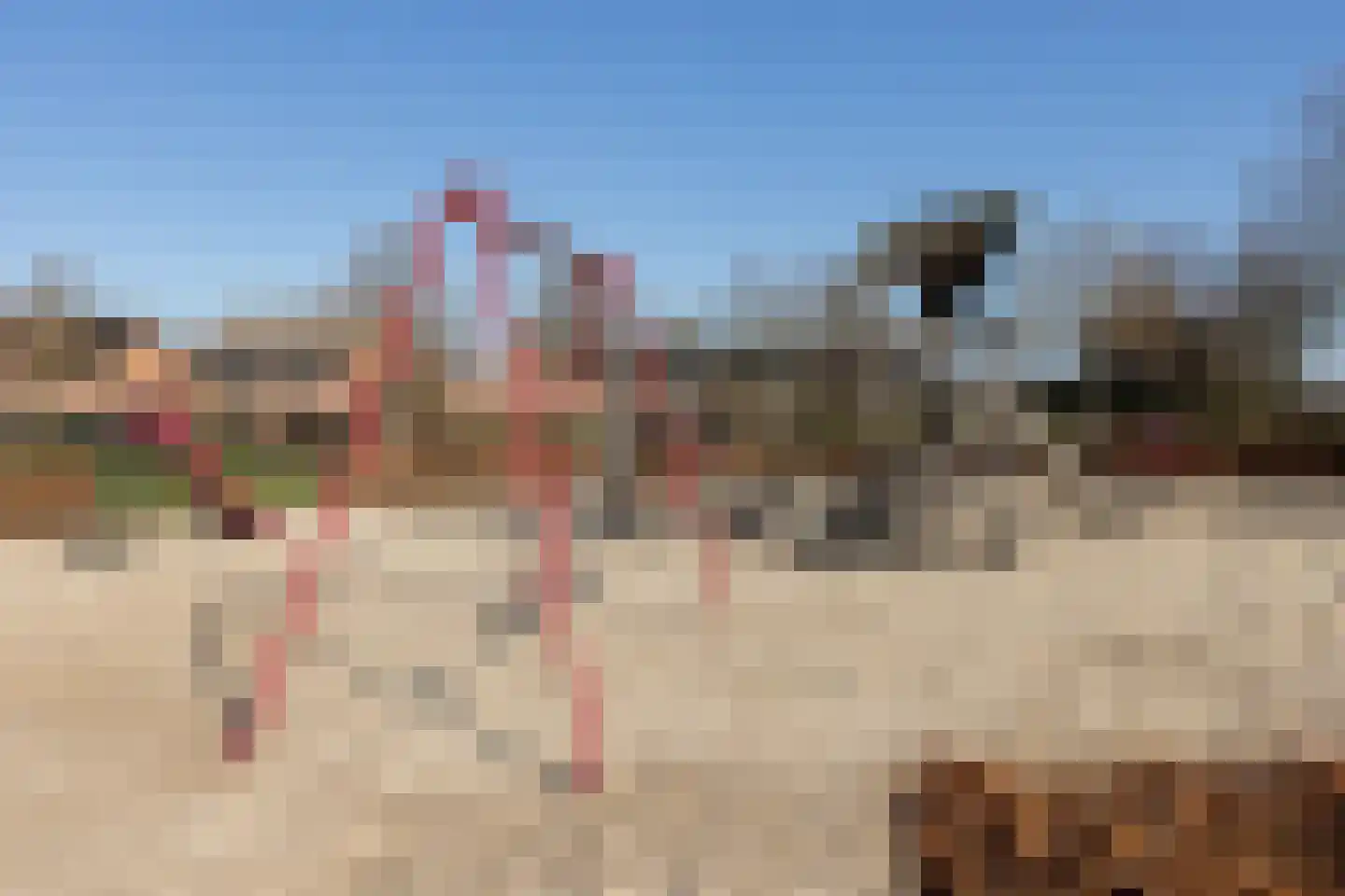 De Snieder 33 Groenlo thumbnail 39