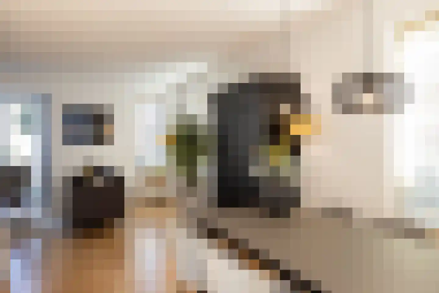 De Snieder 33 Groenlo thumbnail 6
