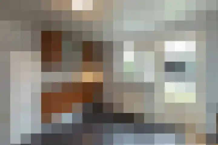 De Snieder 38 Groenlo thumbnail 13