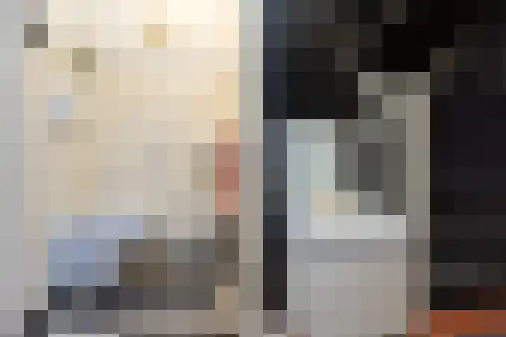 De Snieder 38 Groenlo thumbnail 16