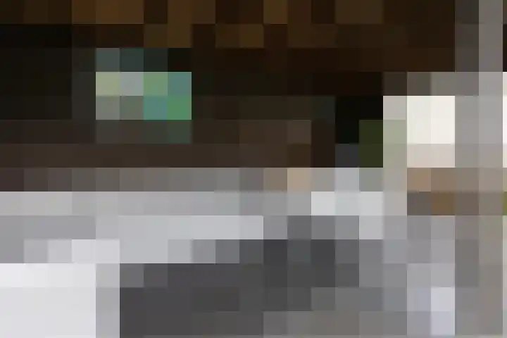 De Snieder 38 Groenlo thumbnail 39
