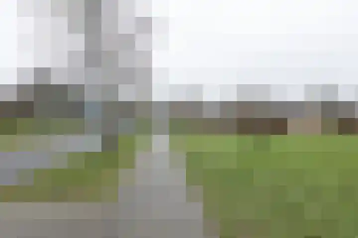 De Snieder 38 Groenlo thumbnail 44