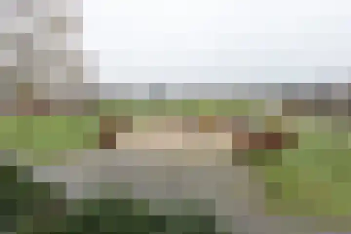 De Snieder 38 Groenlo thumbnail 46